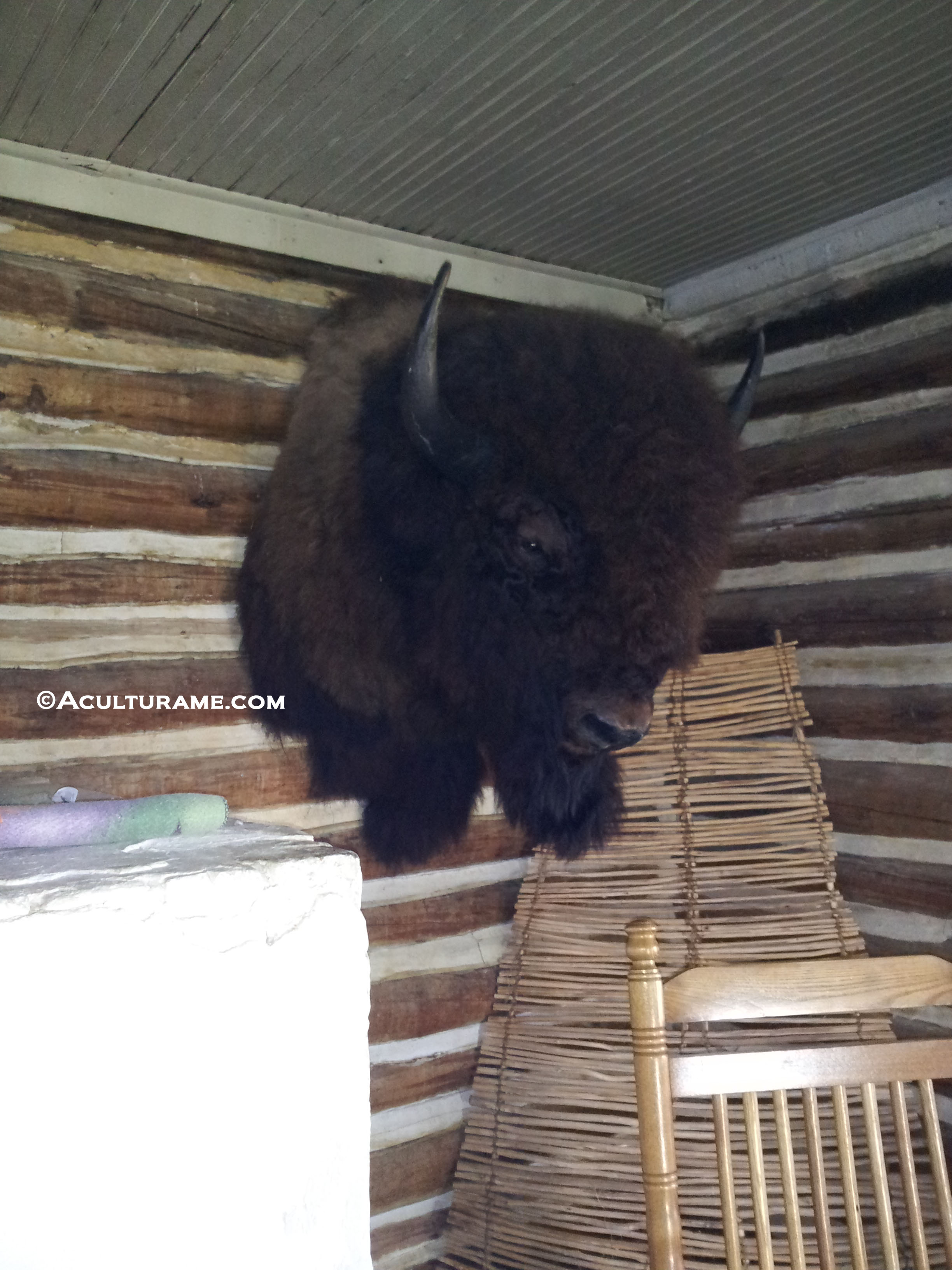 inside chief Plenty Coups' log home