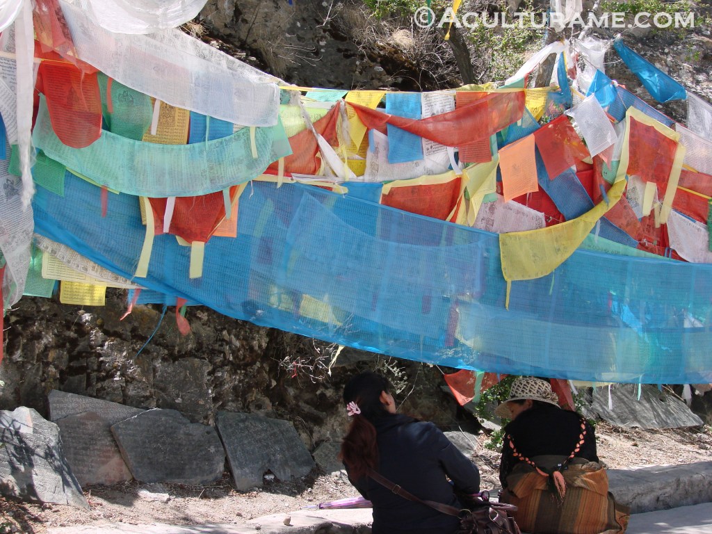 Tibetan prayer flags