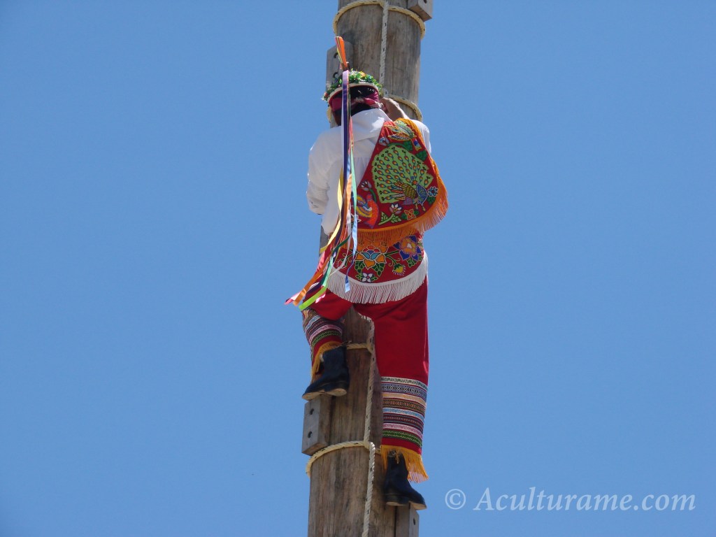Volador de Papantla going up the tree pole