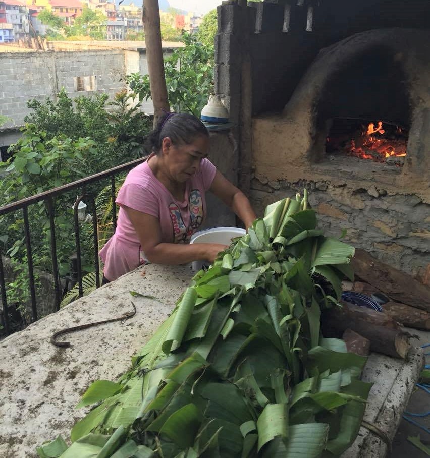 selecting the best papatla leaves prior to making zacahuil