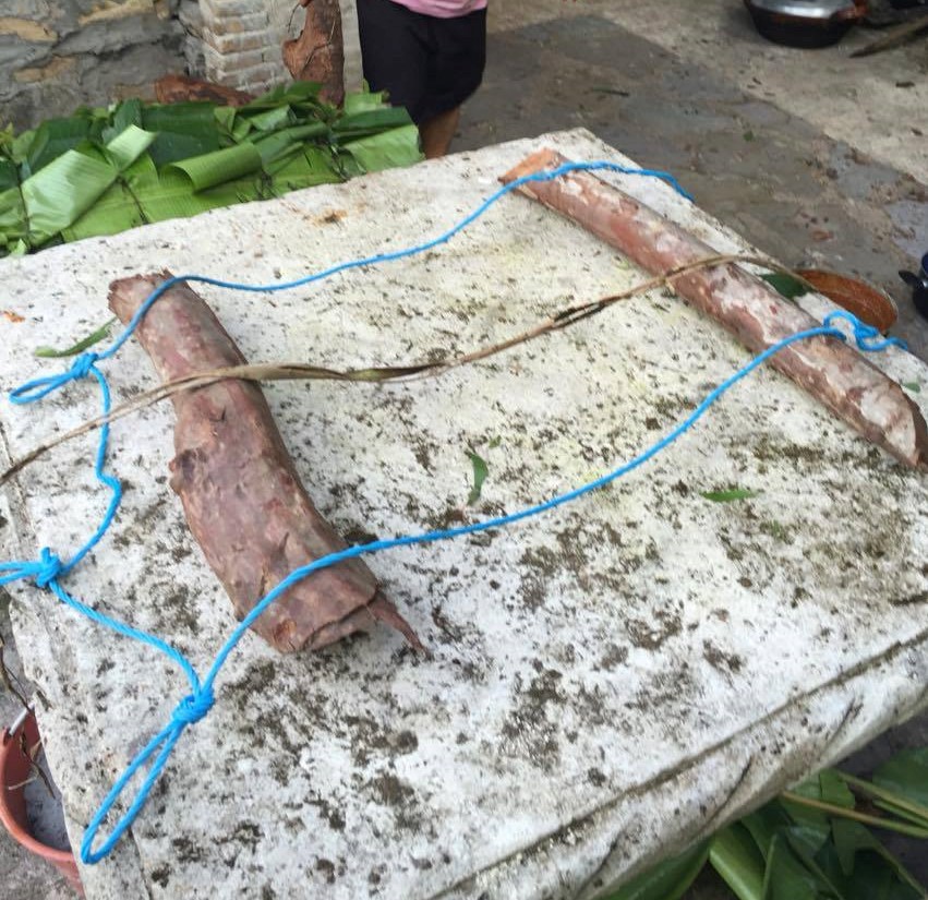 this stand will hold the zacahuil in place