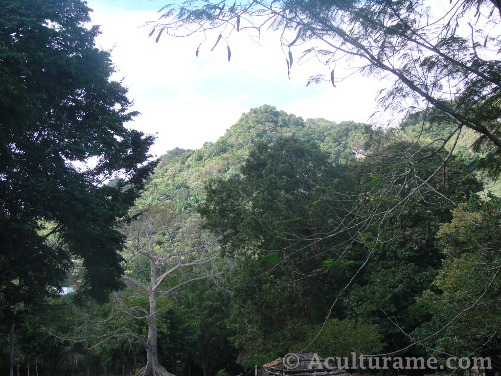 Our Visit to the Caguana Indigenous Ceremonial&nbsp;Park