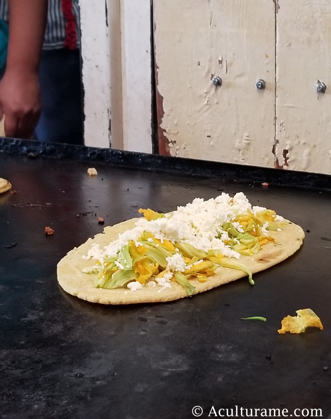 quesadilla de flor de calabaza or squash blossoms quesadillas.