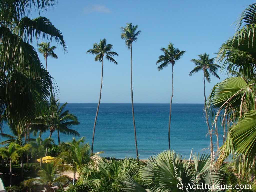 Puerto Rico Before the Pandemic – Part&nbsp;I