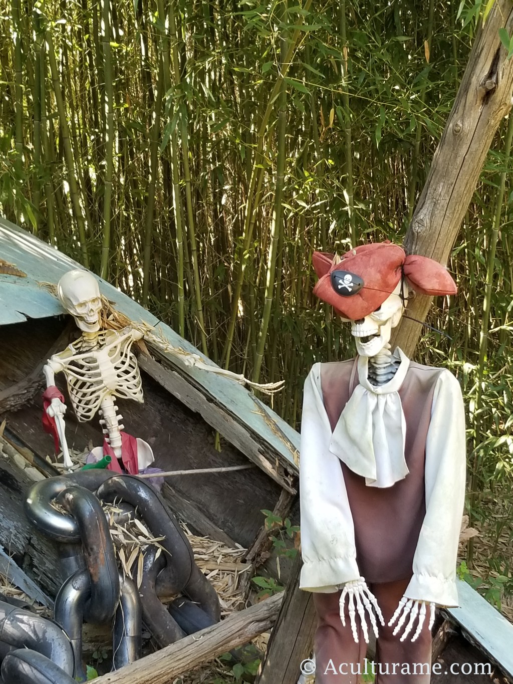 Why I Celebrate both Halloween and Día de los&nbsp;Muertos